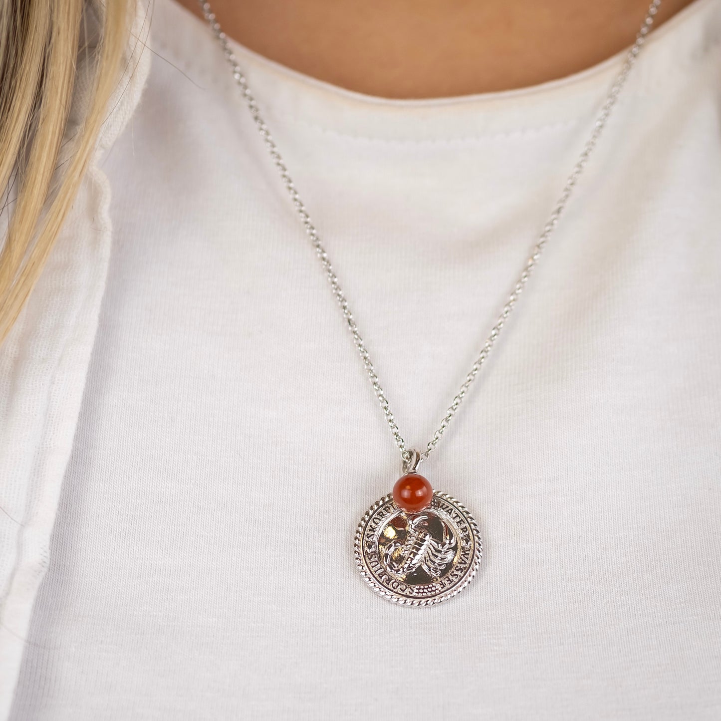 Halskette 925er Silber Skorpion mit Kraftstein Roter Jaspis und Zirkonia