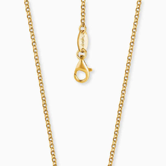 Erbskette 925er Silber Gold