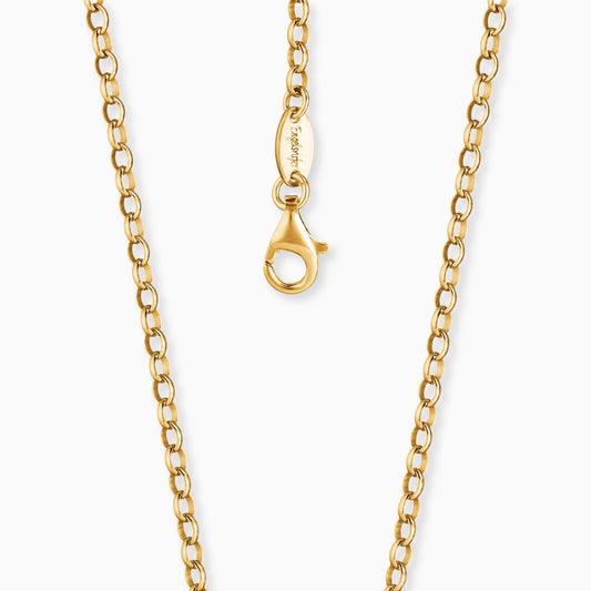 Ankerkette 925er Silber Gold